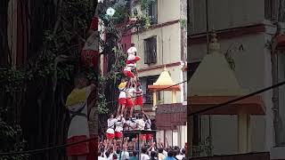 Dahi Handi 2023  Hindmata  Dadar East [upl. by Ennayar]