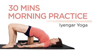 Iyengar Yoga for Beginners [upl. by Nnayelsel154]