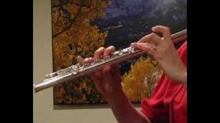 Gemeinhardt GFL400 Flute used similar to 2SP  Demo Low to High [upl. by Amii483]