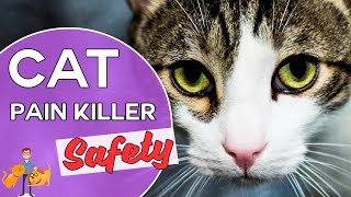 Is Metacam Safe for Cats reducing pain killer side effects in cats [upl. by Watson593]