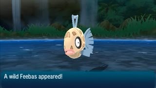 How to Catch Feebas  Pokémon Ultra Sun amp Moon [upl. by Niai]