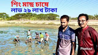 শিং মাছ চাষে লাভ প্রায় ২৯লাখ। Netro farming [upl. by Aleakam]