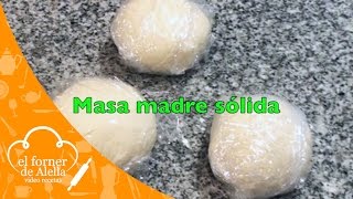 Masa Madre Sólida [upl. by Tower181]