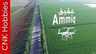 AMMIQ Wetlands Bekaa Lebanon by drone 4K  عمّيق  البقاع الغربي، لبنلن [upl. by Ailemac576]