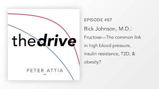 87—Rick Johnson MD Fructose—the common link in hypertension insulin resistance T2D amp obesity [upl. by Ahsemak]