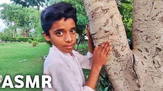 ASMR Tapping on Tree 🌴 [upl. by Eednahs822]