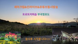 제126회2월26일월요일트로트커피숍부국청포도🌹구독좋아요👍알림설정� [upl. by Nikal]