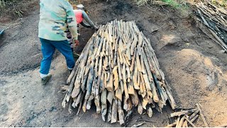 Making Charcoal for livelihood Marimshanchom [upl. by Einahets]