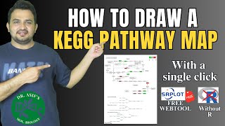 How to draw a KEGG pathway map [upl. by Herv]