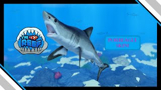 Shark Week Part 3 Porbeagle Skin  The Reef [upl. by Gussman]