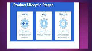 Product Life Cycle Stages [upl. by Illac807]