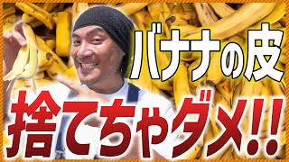 【バナナで元気野菜！】バナナの皮で肥料を作ろう！簡単肥料の作り方 ！ [upl. by Samantha637]