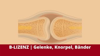 BLIZENZ  Prüfungsstoff Knorpel Gelenke amp Bänder [upl. by Notsud]