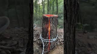 Make Your Own Swedish Torch While Camping Simple and Effective [upl. by Amsaj]