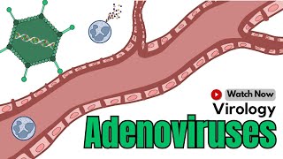 Adenovirus Explained Infections Transmission and Prevention  Virology [upl. by Walley867]