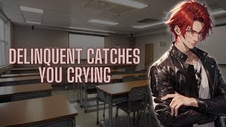 M4A ASMR Delinquent Catches You Crying  Bully x Listener Small Fight Wholesome [upl. by Ernesto154]