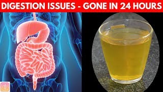 10 Ways to Improve Digestive System  Get INSTANT Boost Naturally [upl. by Kaz545]