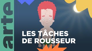 Pourquoi certaines personnes ont des taches de rousseur   Vos questions 💡  ARTE Family [upl. by Grimes239]