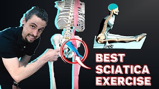 How to do Sciatica Nerve Flossing  Sciatica Exercise [upl. by Ahsinrad]