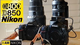 Comparing Tamron 150600 G2 lens to Nikon 300mm F28 prime for birding  Nikon D800 amp D850 photos [upl. by Kramal]