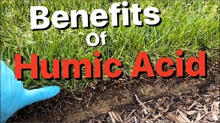 Benefits of Humic Acid  Lawn Update [upl. by Neved946]