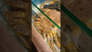 Seafood at Menate shortvideo foodmusic [upl. by Davenport]