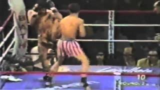 Muay Thai Legend Samart Payakaroon HighLights [upl. by Neiluj]