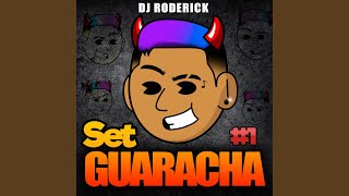 Set Guaracha Aleteo Mix 1 [upl. by Eelinnej]