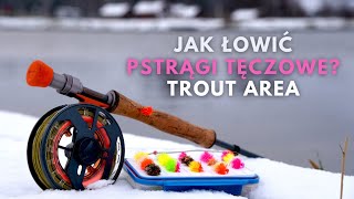 Jak Łowić Pstrągi Tęczowe na Muchę  Trout Area  Fly Fishing for Rainbow Trout  Vision Stillmaniac [upl. by Thgirw660]