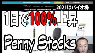 140 121 1日で100％上昇 米国ペニーストック Penny Stocks [upl. by Valorie]