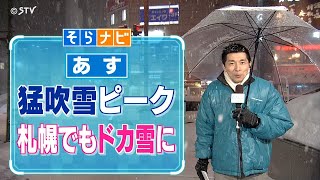 【そらナビ】あすの北海道 猛吹雪ピーク 札幌でもドカ雪に [upl. by Sephira331]