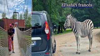 ¡Los animales están sueltos El safari francés Safari de Thoiry [upl. by Posner]