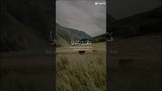 سورة الحج قرآن الله allah quran [upl. by Frederick]