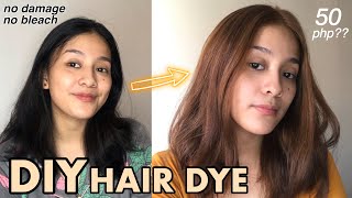 DIY AFFORDABLE HAIR DYE  NO BLEACH black to brown  Ms Krisha Natividad [upl. by Novat737]