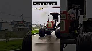 Mathura Wale sher [upl. by Bevon242]