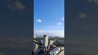 Toronto Urban Skyline in Summer torontoskyline toronto shorts [upl. by Pontius131]