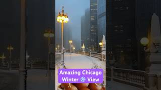 Amazing Chicago Winter View travel snow winter chicago chicagotravel usateluguvlogs usatrip [upl. by Youngman550]