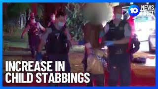 Sydney Easter Show Stabbing Video Appeal  10 News First [upl. by Ateuqirne]