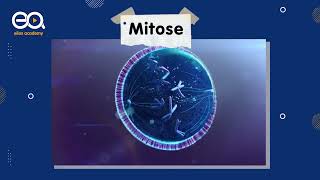 Comprendre bien la Mitose [upl. by Annitsirhc]