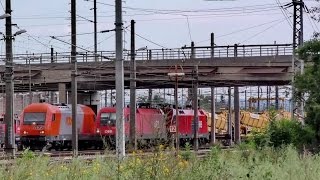 Hochbetrieb am ÖBB Bahnknoten WienKledering [upl. by Atinreb685]