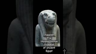 Taweret the hippopotamus headed god of ancient Egypt [upl. by Eixam24]