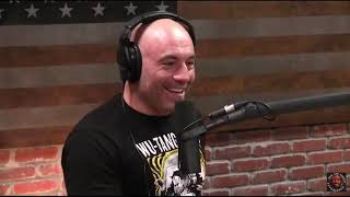 Jake the Snake impersonates Macho Man Randy Savage On Joe Rogan Podcase [upl. by Ujawernalo]