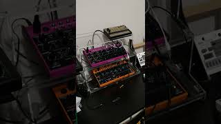 Creepy Synth Short  Behringer Edge amp Crave MIDI Sync [upl. by Andris]