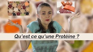 CEST QUOI UNE PROTÉINE [upl. by Aneeled]