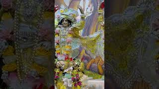 Iskcon Alachua Darshan [upl. by Airaet]