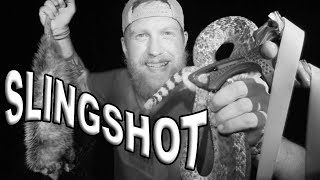 Rattlesnake And Possum Slingshot Hunting Catch And Cook  Day 8 Of 30 Day Survival Challenge Texas [upl. by Holbrooke]