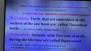 353THECODONT amp DIPHYODONT DentitionVSQ SRsIADigestion and Absorption [upl. by Mari407]