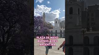 Plaza de Mayo y jacarandá [upl. by Cimah641]