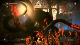 How to Win the Kayran Boss Fight  The Witcher 2 Tutorial HD 1080p [upl. by Knapp600]