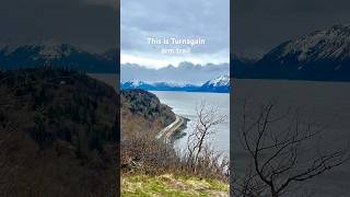 Turnagain arm Trail near Anchorage Alaska shorts alaska anchorage [upl. by Oiceladni197]